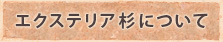 エクステリア杉について