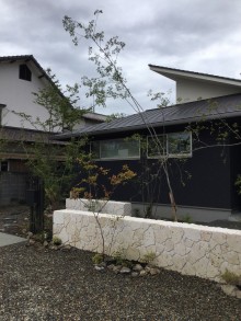 植栽をふんだんに取り入れました＾＾