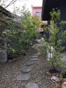 植栽をふんだんに取り入れました＾＾