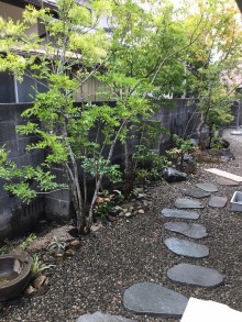 植栽をふんだんに取り入れました＾＾